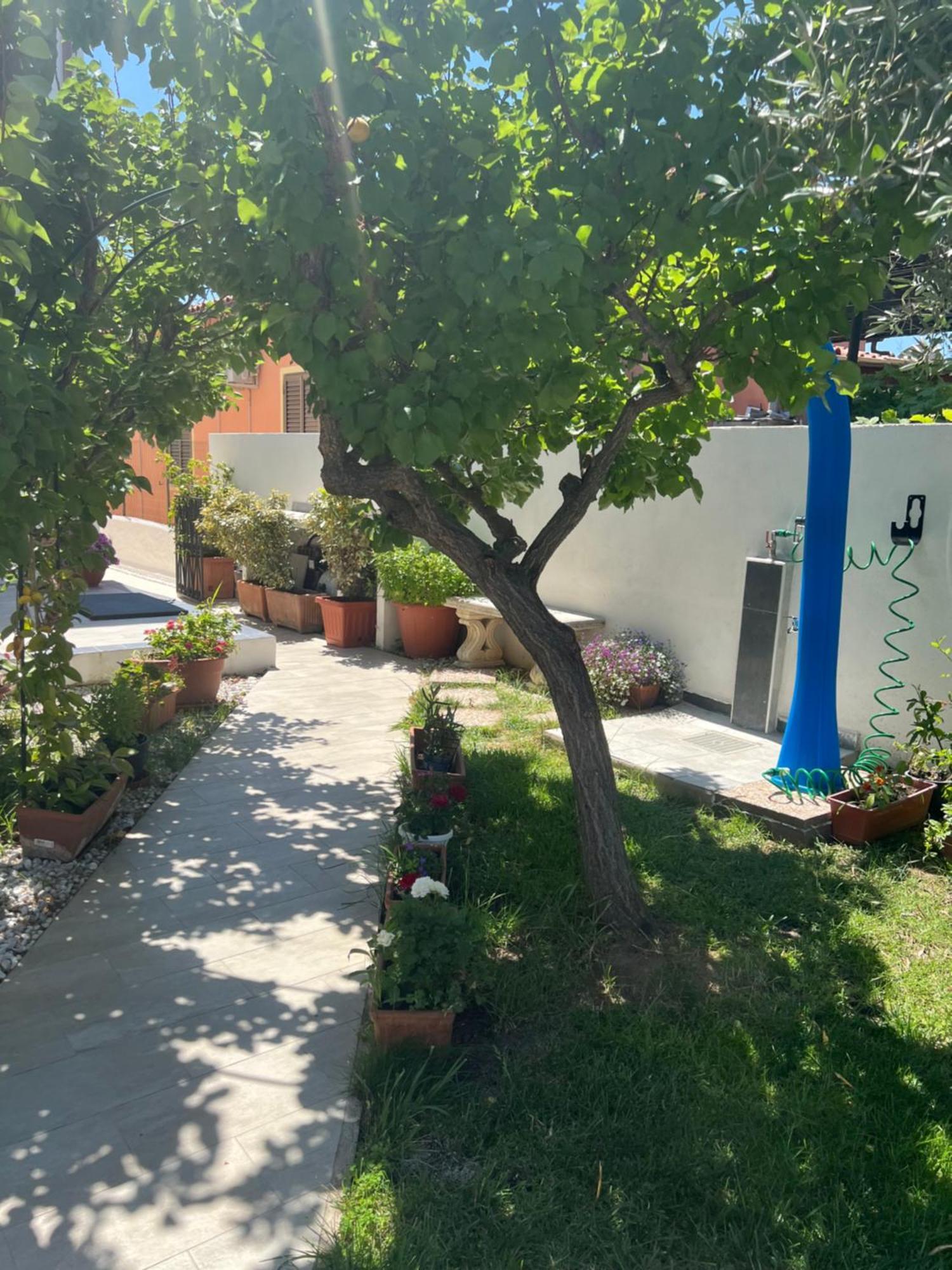 Hotel Wonderland San Teodoro  Exterior foto